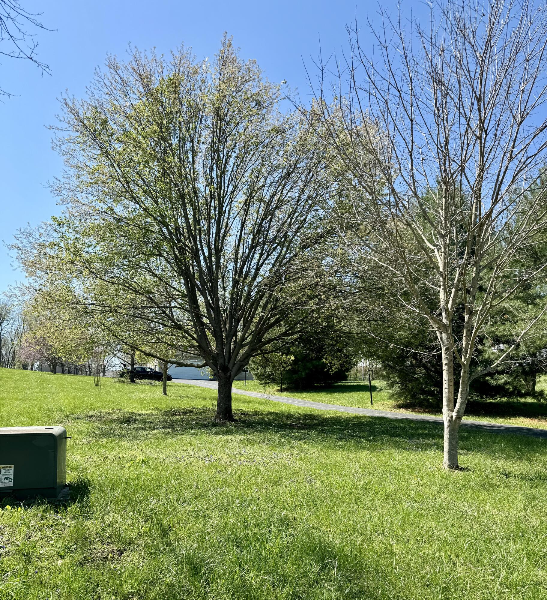 107 Tanyard Branch Road Lancaster, KY 40444 - Photo 12 of 69 IMG_3793