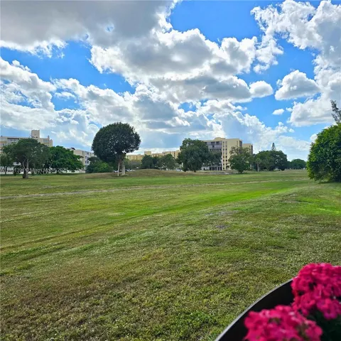 a view of a big yard with plants and large trees