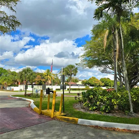 a view of a park with palm trees