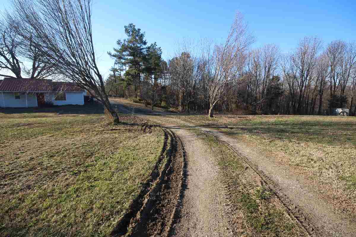 650 McStouts Road Caneyville, KY 42721 - Photo 18 of 26 Gallery Image 18
