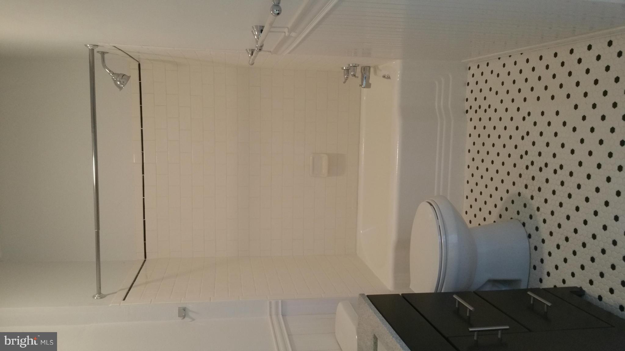 12180 Galena Road Massey, MD 21650 - Photo 10 of 18 Bath