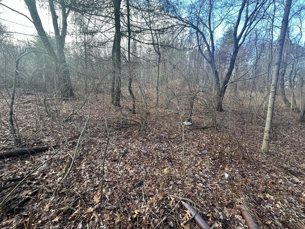 Lot 32 Sheep Pasture Road Southwick, MA 01077 - Photo 5 of 11 Gallery Image 5