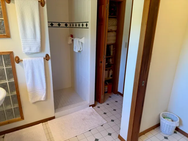 a bathroom with a shower and a sink