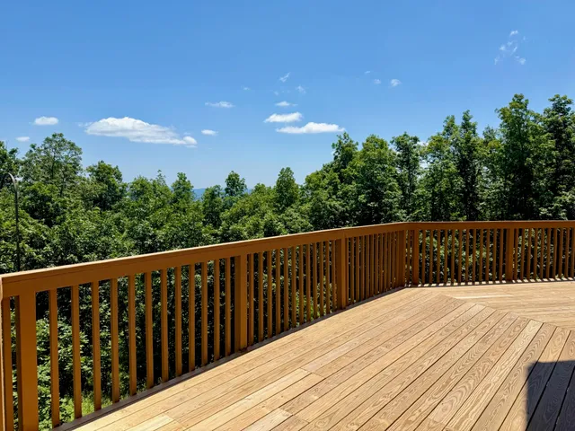 a view of a yard with plants and large trees