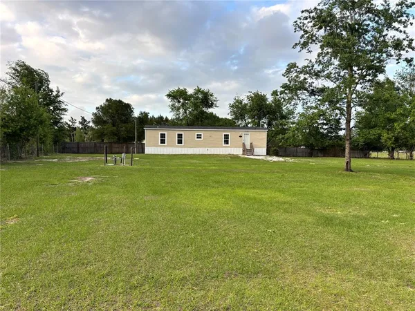 a view of a park with large trees