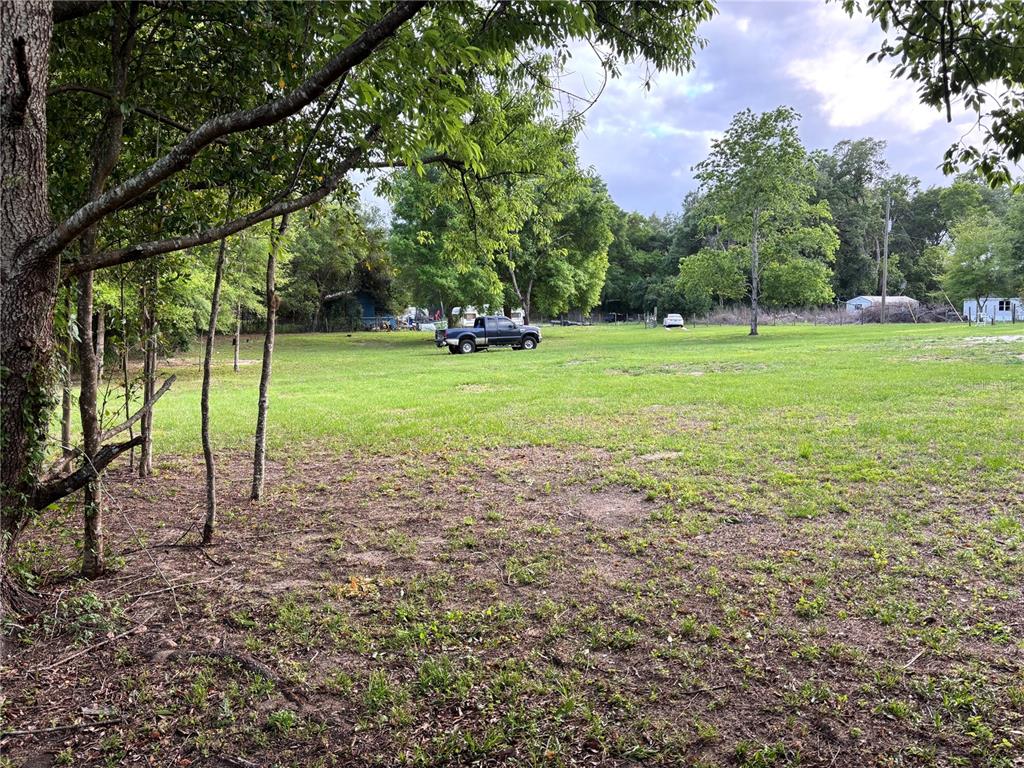 11511 Northeast 110th Road Oxford, FL 34484 - Photo 9 of 43 a view of a park with trees