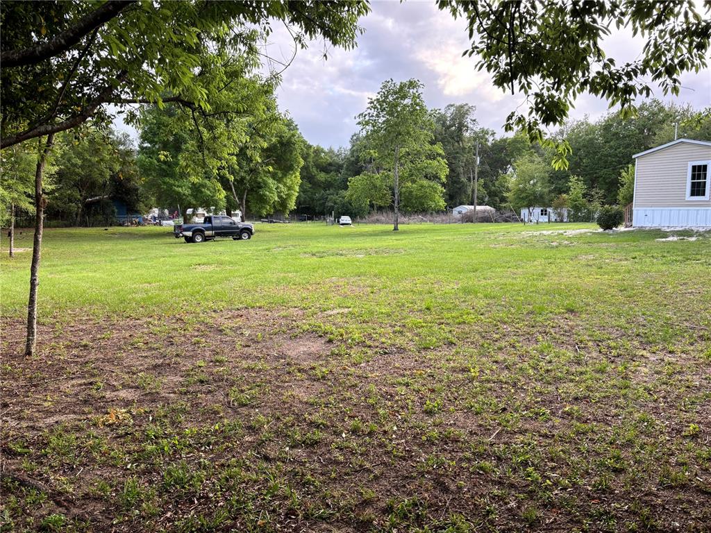 11511 Northeast 110th Road Oxford, FL 34484 - Photo 10 of 43 a view of a tree in front of a house