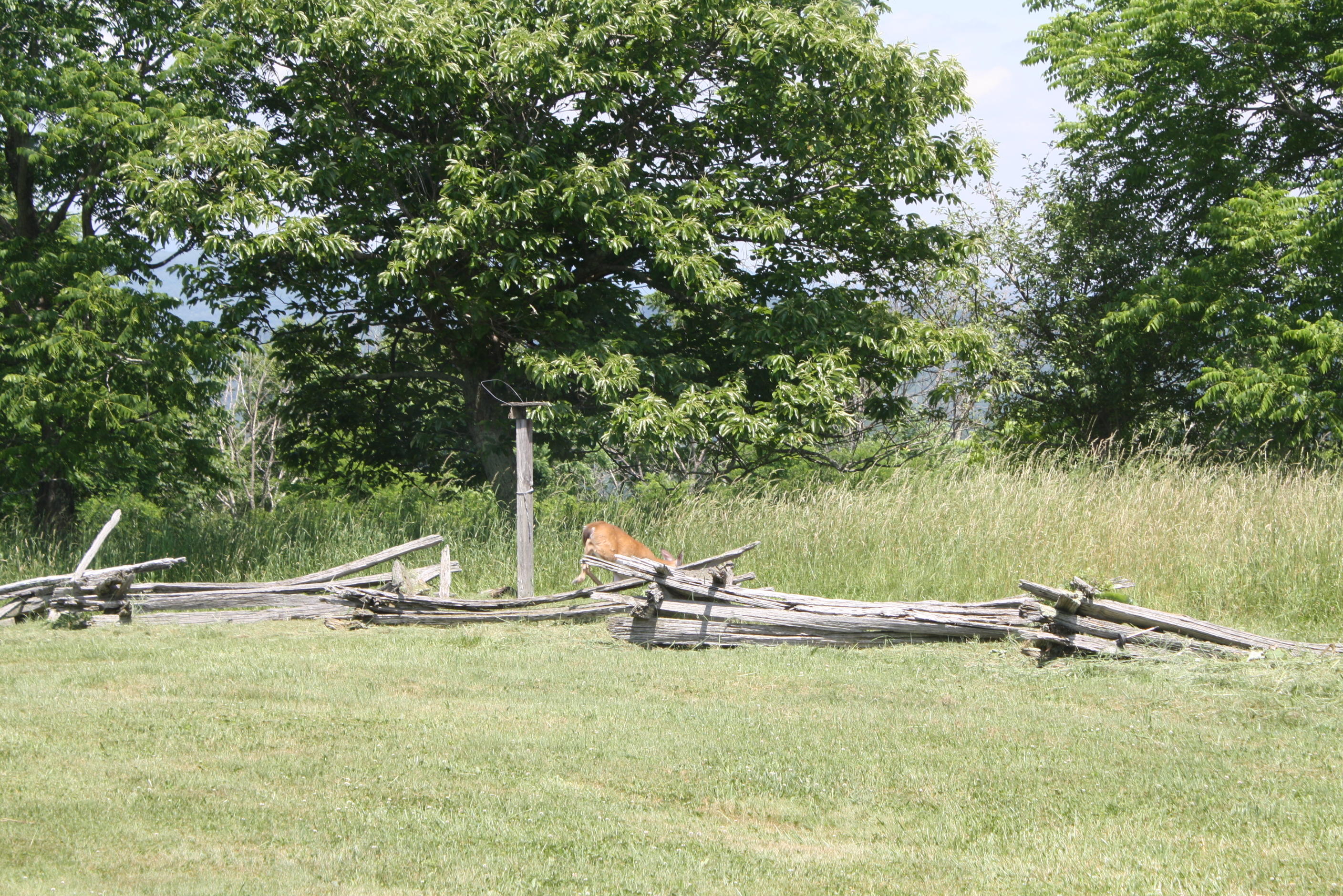 3378 Simms Mountain Road Rainelle, WV 25962 - Photo 73 of 82 Gallery Image 73