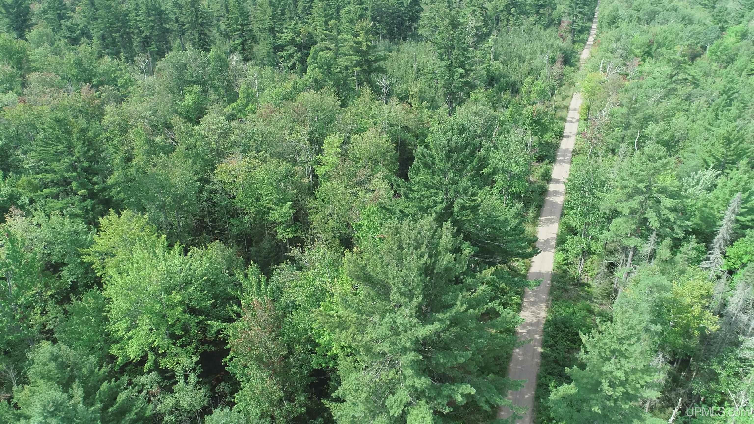 23 East 23 Mile Road Pickford, MI 49774 - Photo 29 of 58 Gallery Image 29