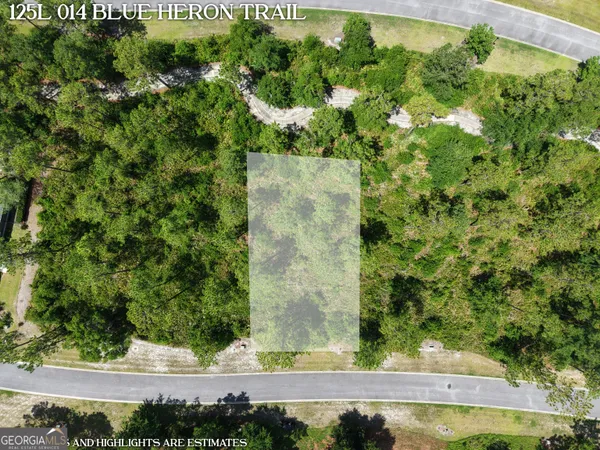 $75,000 | Lot 14 Blue Heron Trail, Waverly, GA 31565