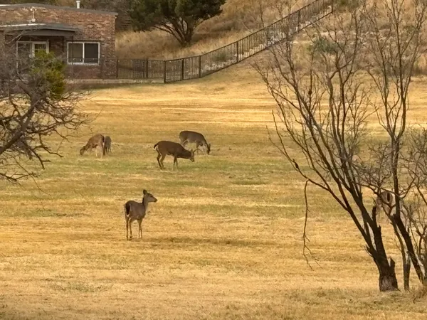 $700,000 | 109 South Lake Shore Drive, Ransom Canyon, TX 79366