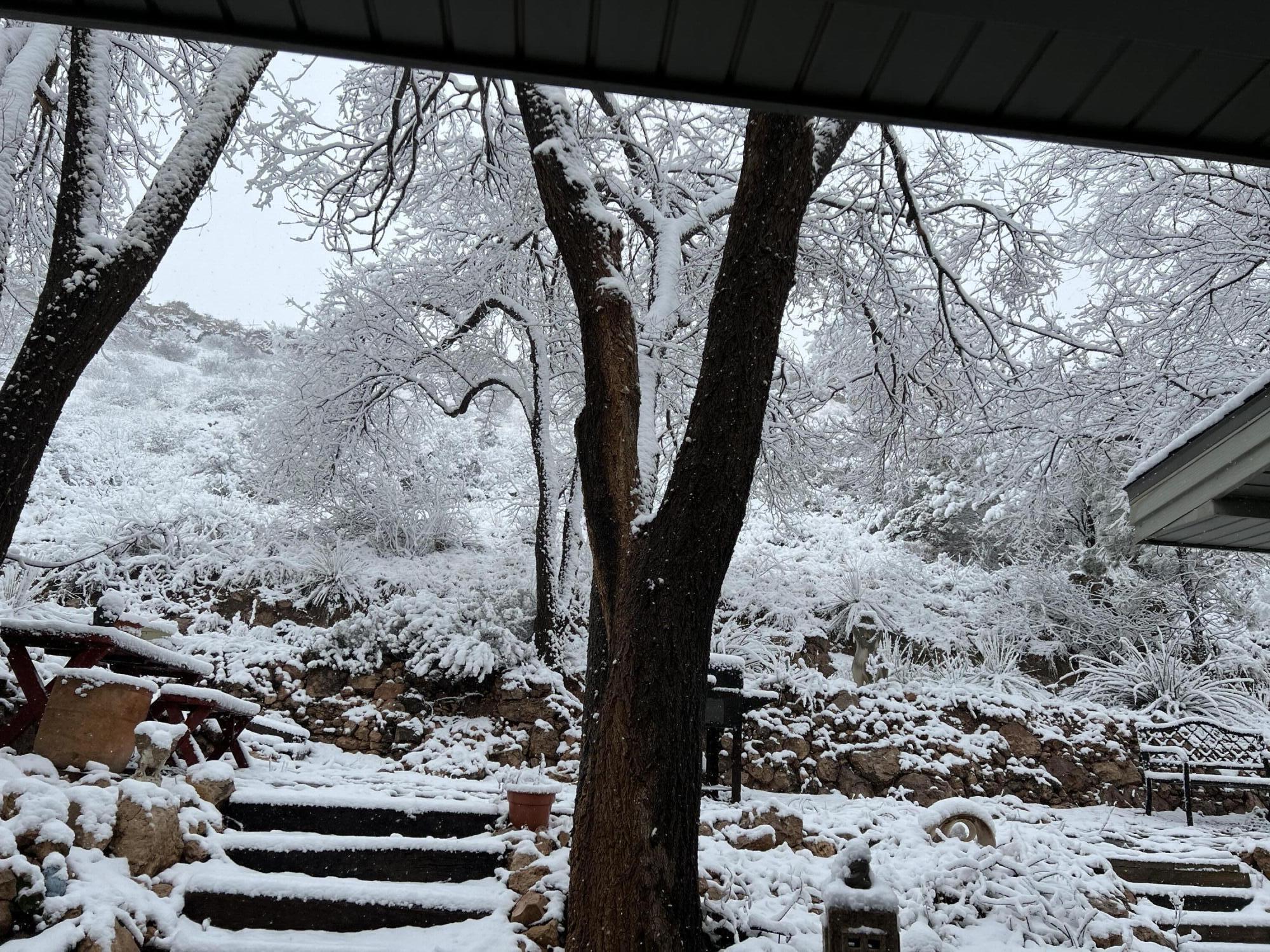 109 South Lake Shore Drive Ransom Canyon, TX 79366 - Photo 86 of 112 a view of a tree with a yard