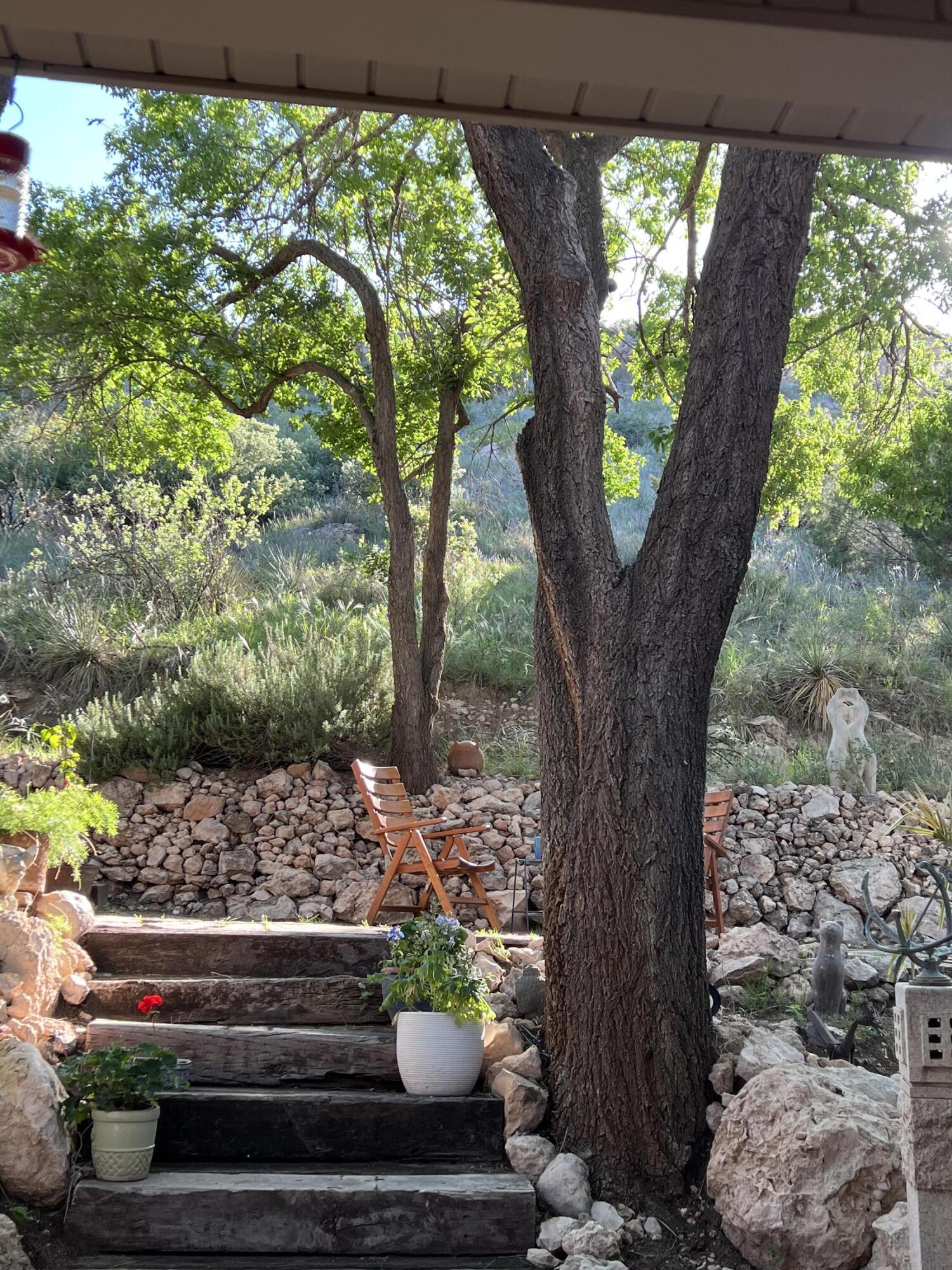 109 South Lake Shore Drive Ransom Canyon, TX 79366 - Photo 88 of 112 IMG_5858