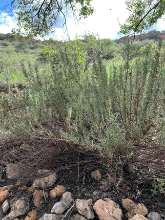 $700,000 | 109 South Lake Shore Drive, Ransom Canyon, TX 79366