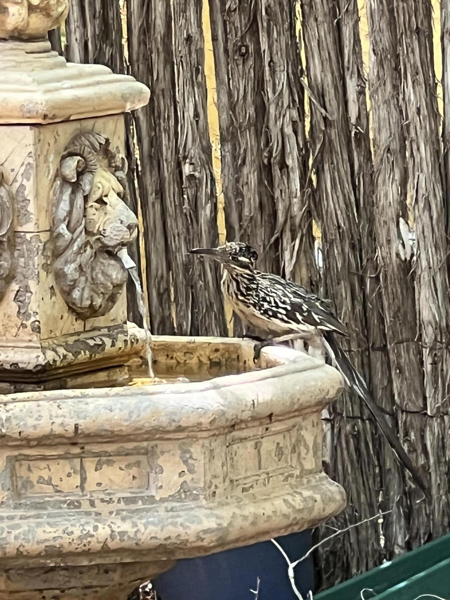 109 South Lake Shore Drive Ransom Canyon, TX 79366 - Photo 96 of 112 a view of water heater