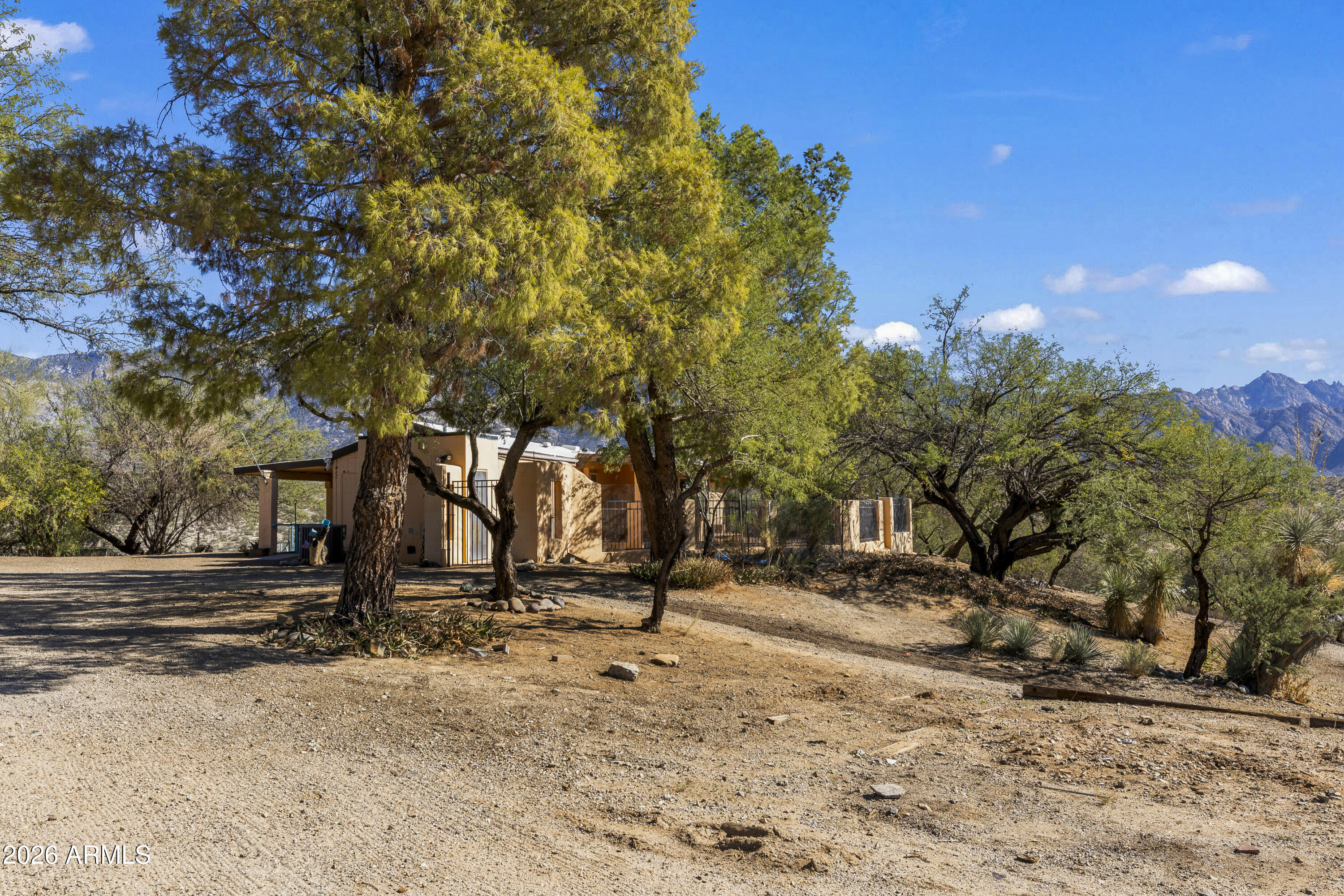 15940 North Goetz Place Tucson, AZ 85739 - Photo 6 of 37 a view of road and trees