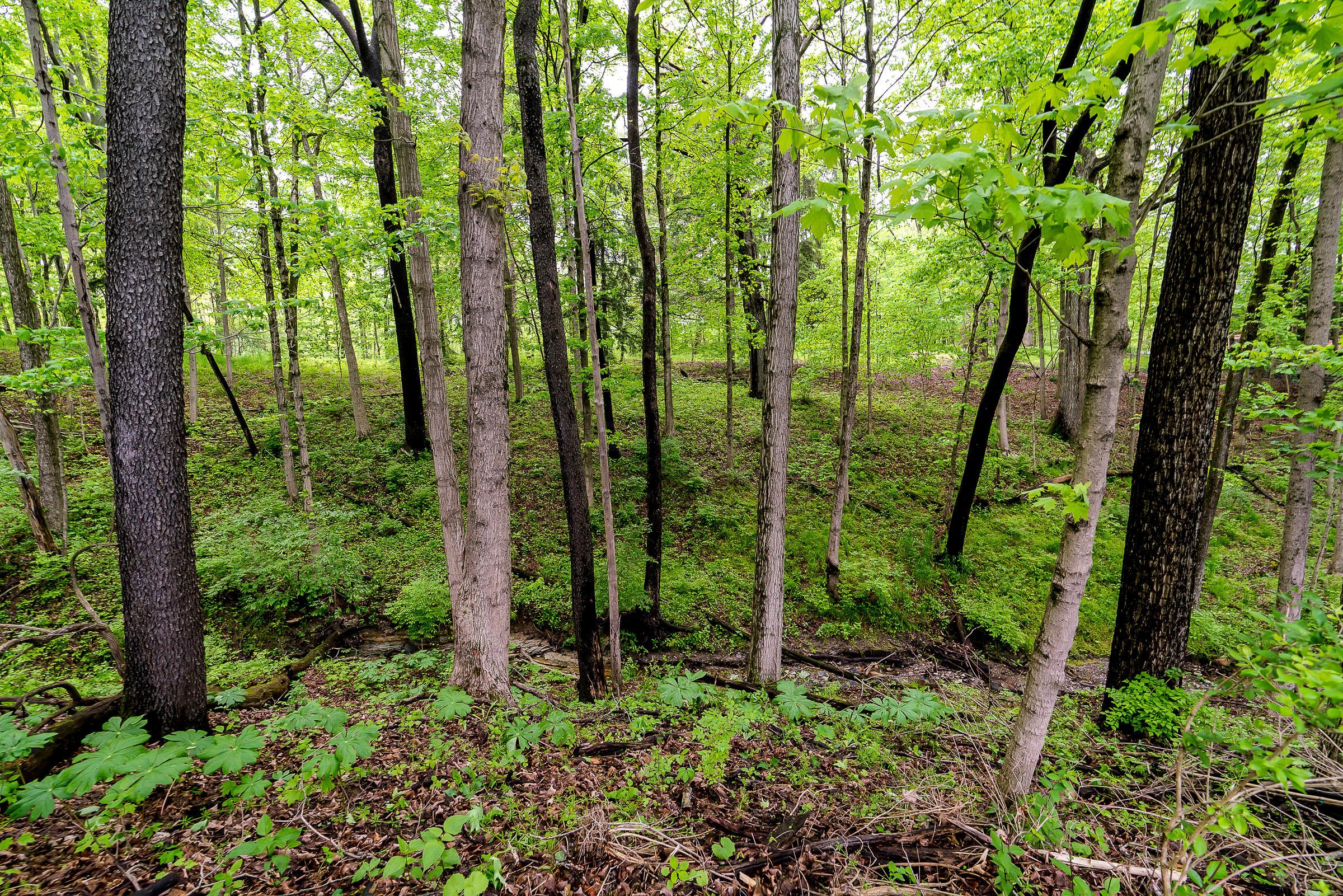 1534 Powell Road Powell, OH 43065 - Photo 38 of 126 Gallery Image 38
