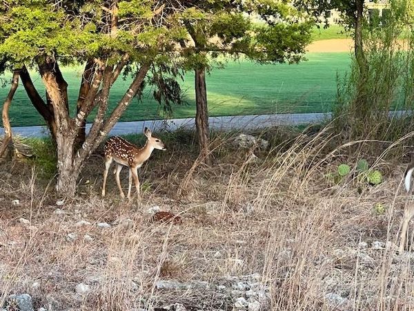 Undisclosed Address Georgetown, TX 78633 - Photo 17 of 18