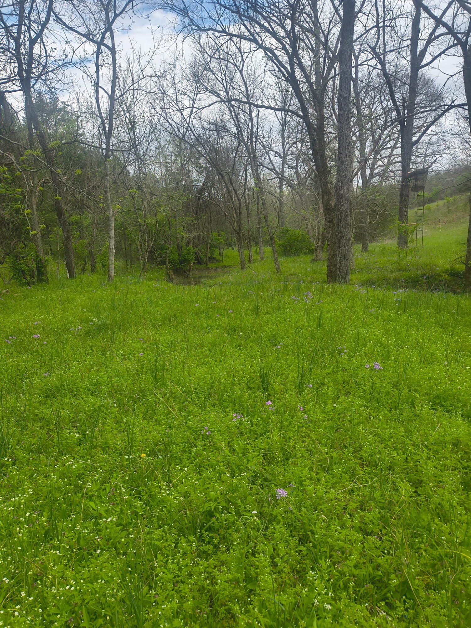 755 Reed Kinman Road Williamstown, KY 41097 - Photo 44 of 49 Gallery Image 44