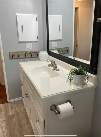 a bathroom with a sink and a mirror
