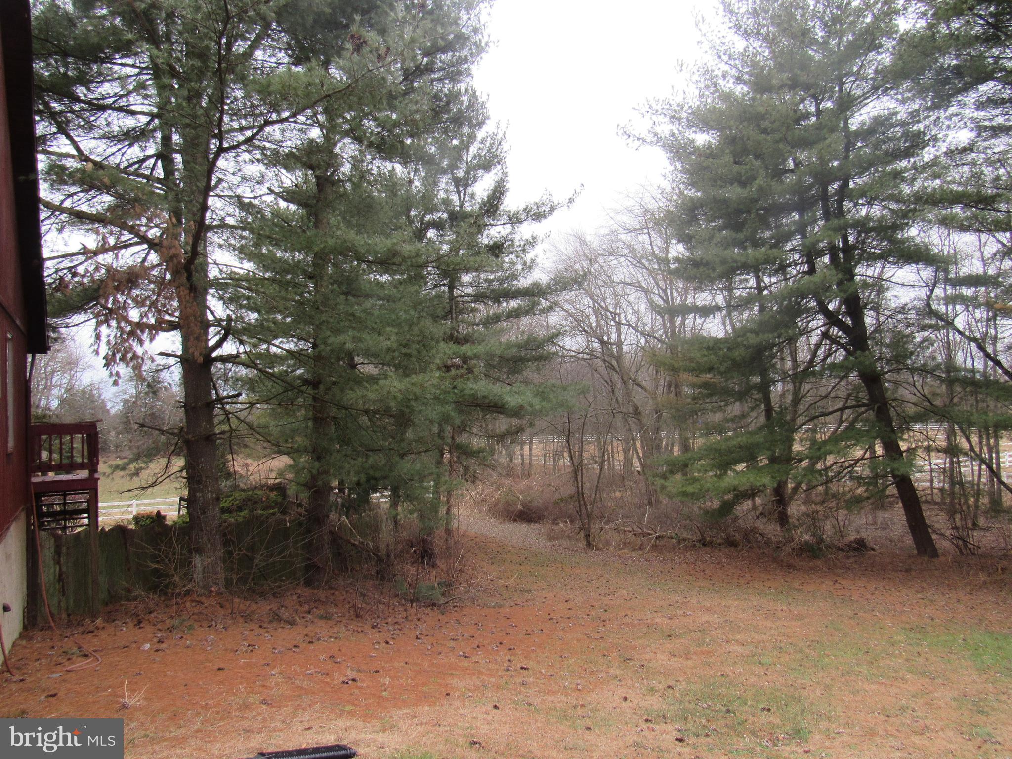 15 Cedar Grove Road Mullica Hill, NJ 08062 - Photo 40 of 41 a view of a forest with trees