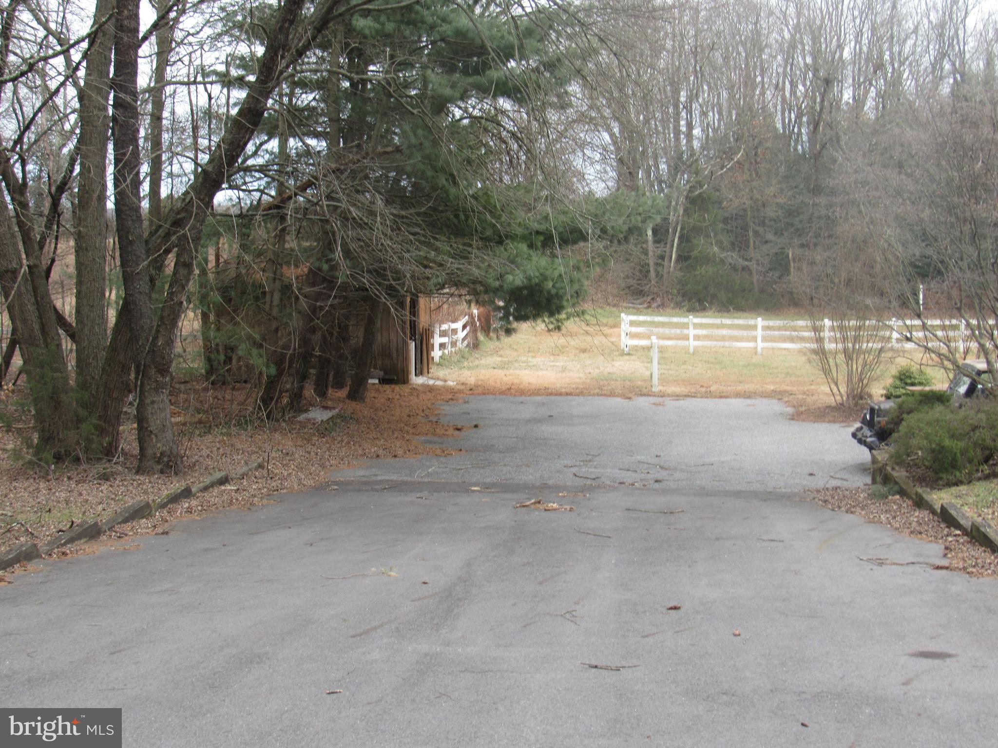 15 Cedar Grove Road Mullica Hill, NJ 08062 - Photo 4 of 41 a view of a yard with a trees
