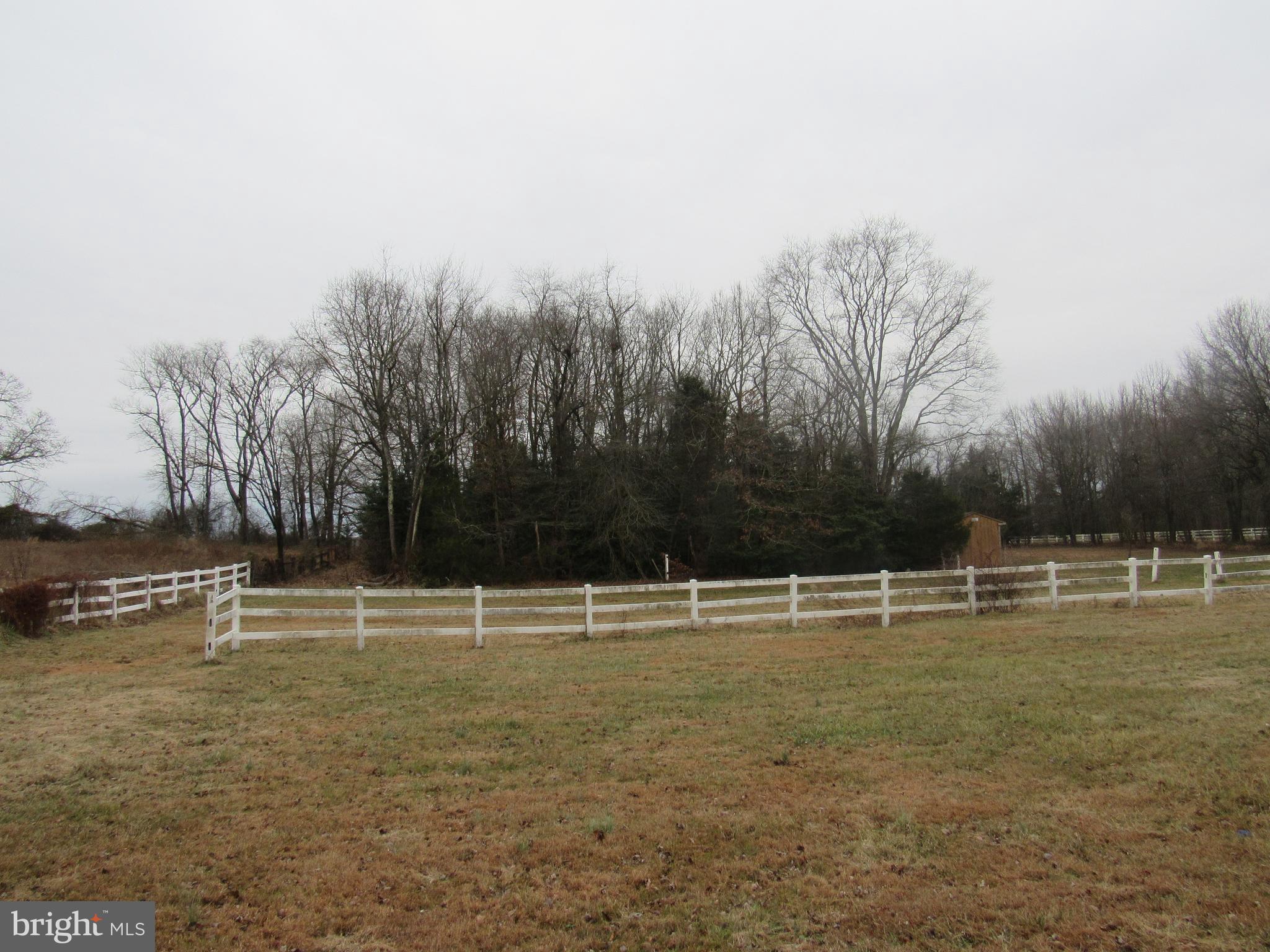 15 Cedar Grove Road Mullica Hill, NJ 08062 - Photo 5 of 41 a view of tennis ground with trees in the background