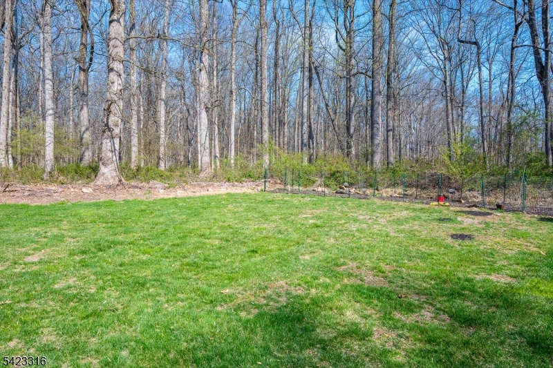 9 Stirrup Way Princeton, NJ 08540 - Photo 47 of 50 a garden with trees in front of it