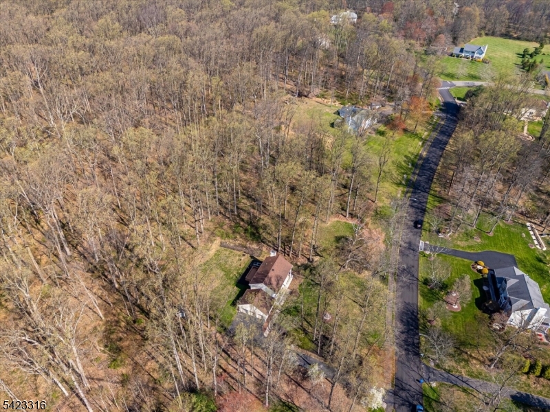 9 Stirrup Way Princeton, NJ 08540 - Photo 50 of 50 a view of a yard with trees
