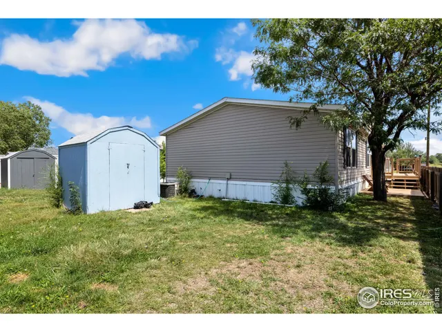 a backyard of a house with plants and large tree
