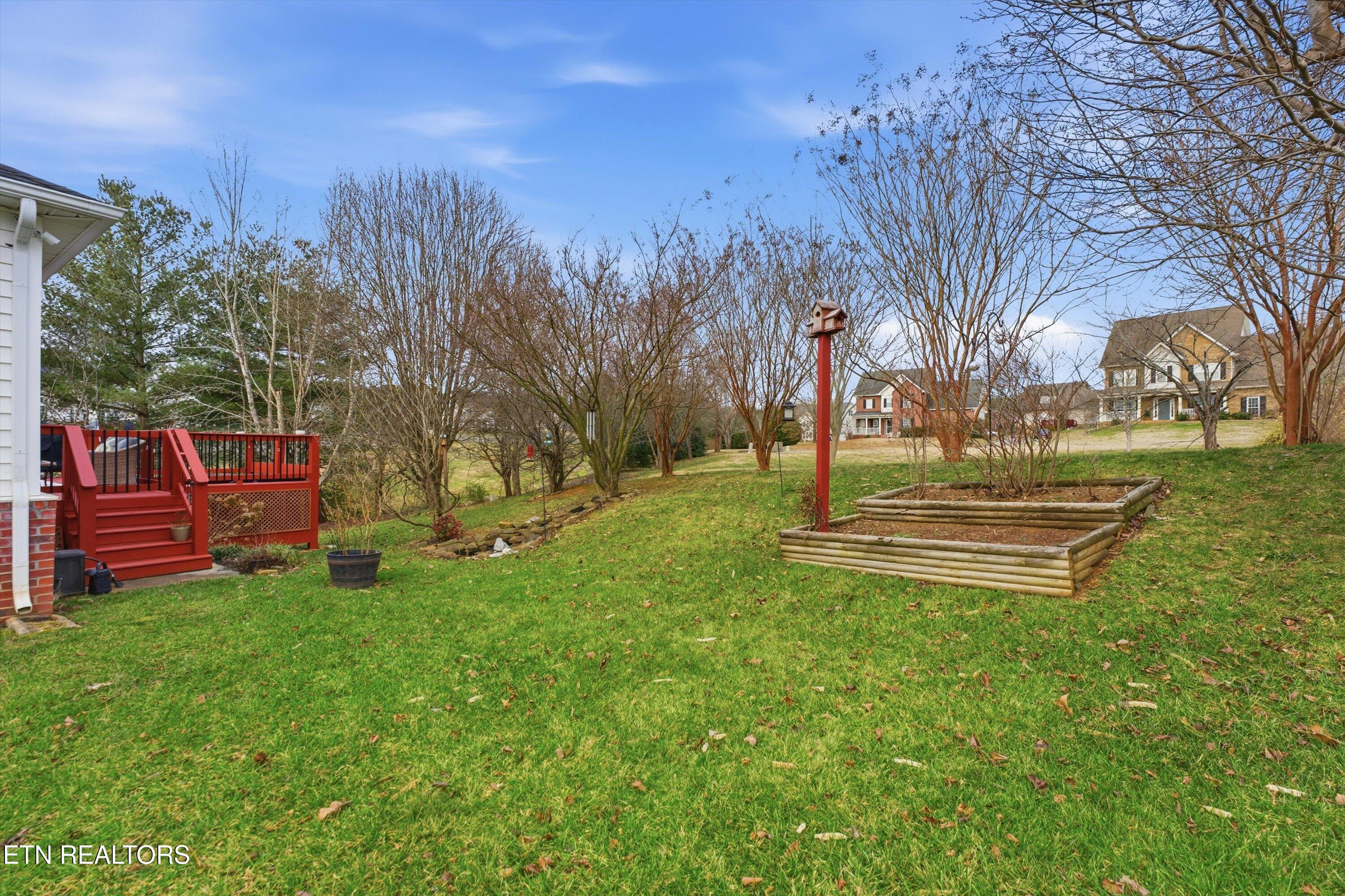 11633 Loblolly Lane Knoxville, TN 37934 - Photo 35 of 40 Rear Yard