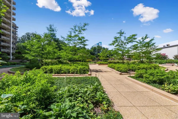 a view of a pathway with a yard