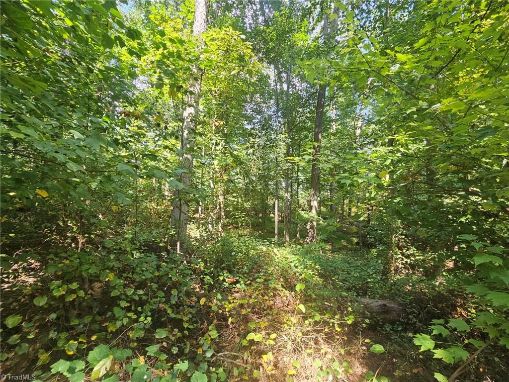 Tbd Luffman Road Ronda, NC 28670 - Photo 5 of 13 Gallery Image 5