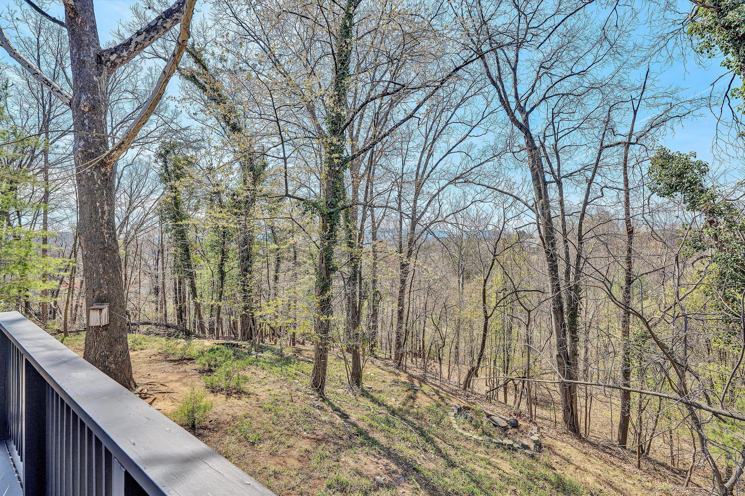 3259 Rasmont Road Roanoke, VA 24018 - Photo 14 of 36 a view of a forest filled with trees