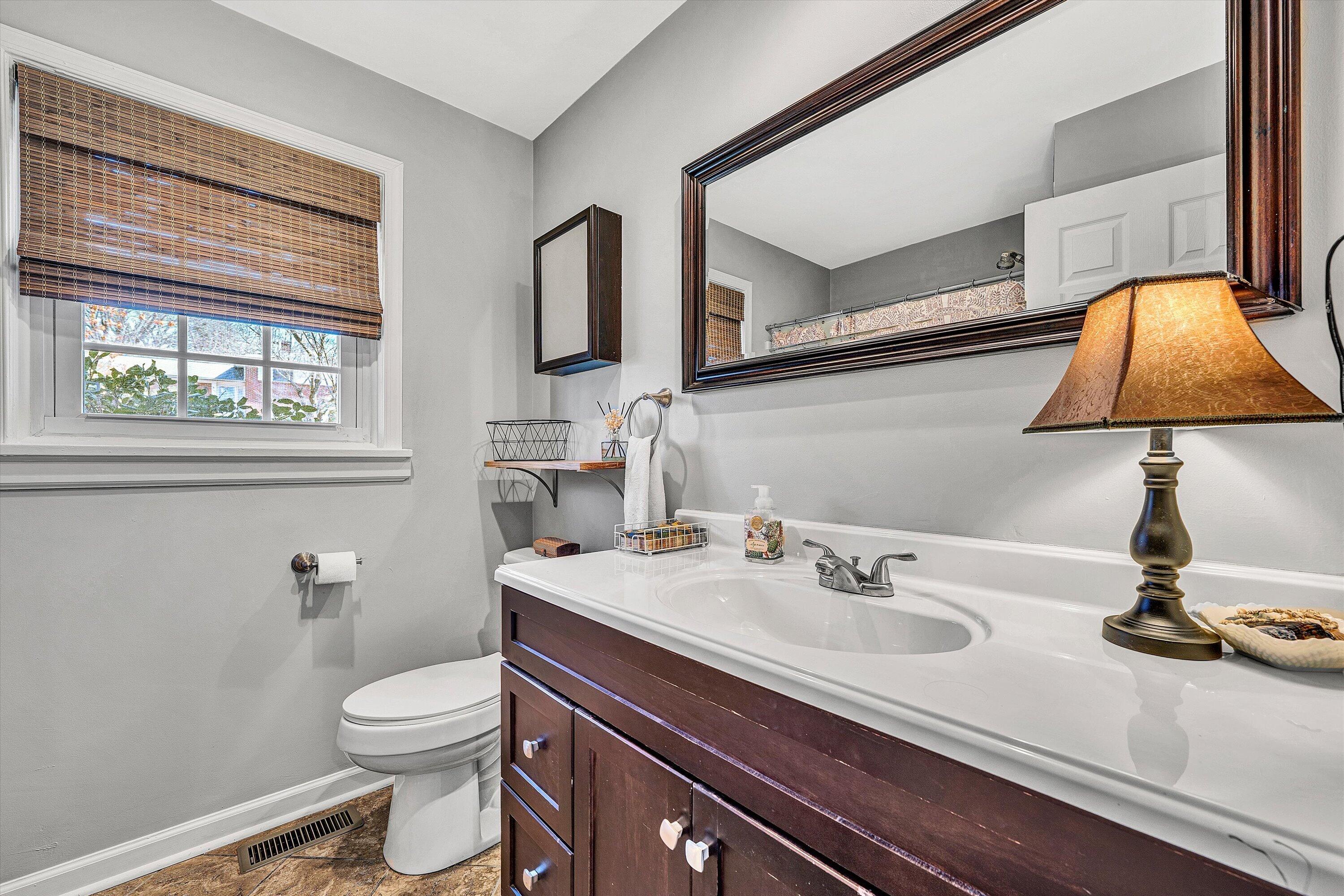 3259 Rasmont Road Roanoke, VA 24018 - Photo 20 of 36 a bathroom with a sink a toilet and a mirror