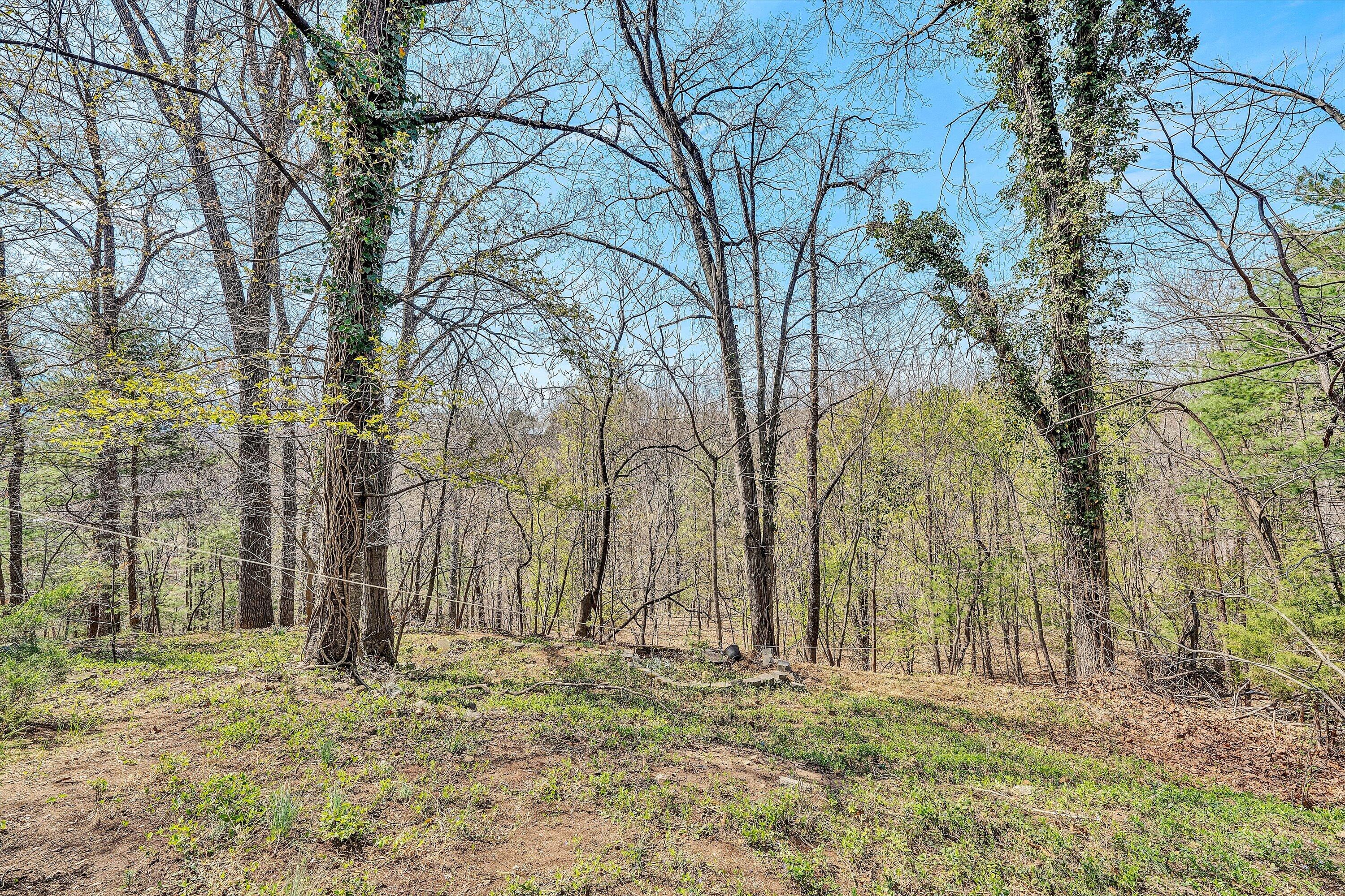 3259 Rasmont Road Roanoke, VA 24018 - Photo 33 of 36 a backyard of a house with lots of trees