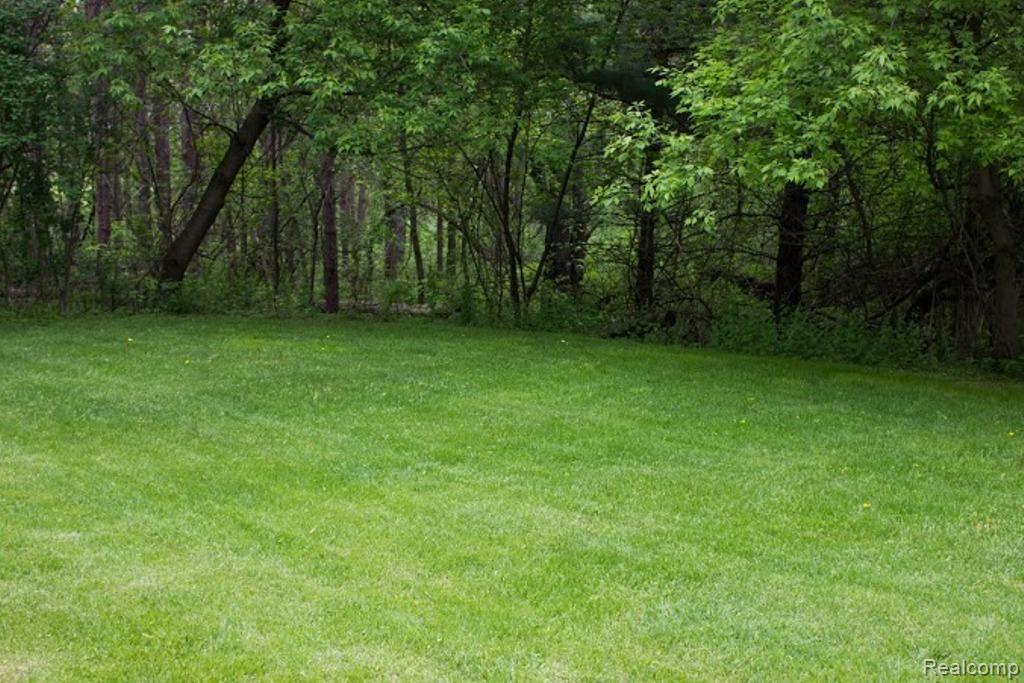4453 Havens Road Dryden, MI 48428 - Photo 34 of 34 Wooded area.jpg