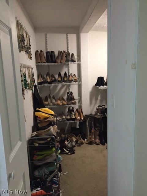 15913 Munn Road Cleveland, OH 44111 - Photo 25 of 31 Large walk in master closet, which loops around to the right of the wall.