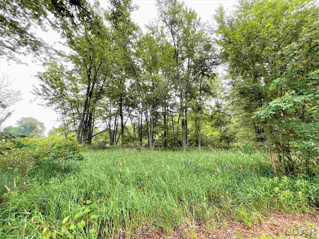 14000 Beecher Road Hudson, MI 49247 - Photo 11 of 25 Gallery Image 11