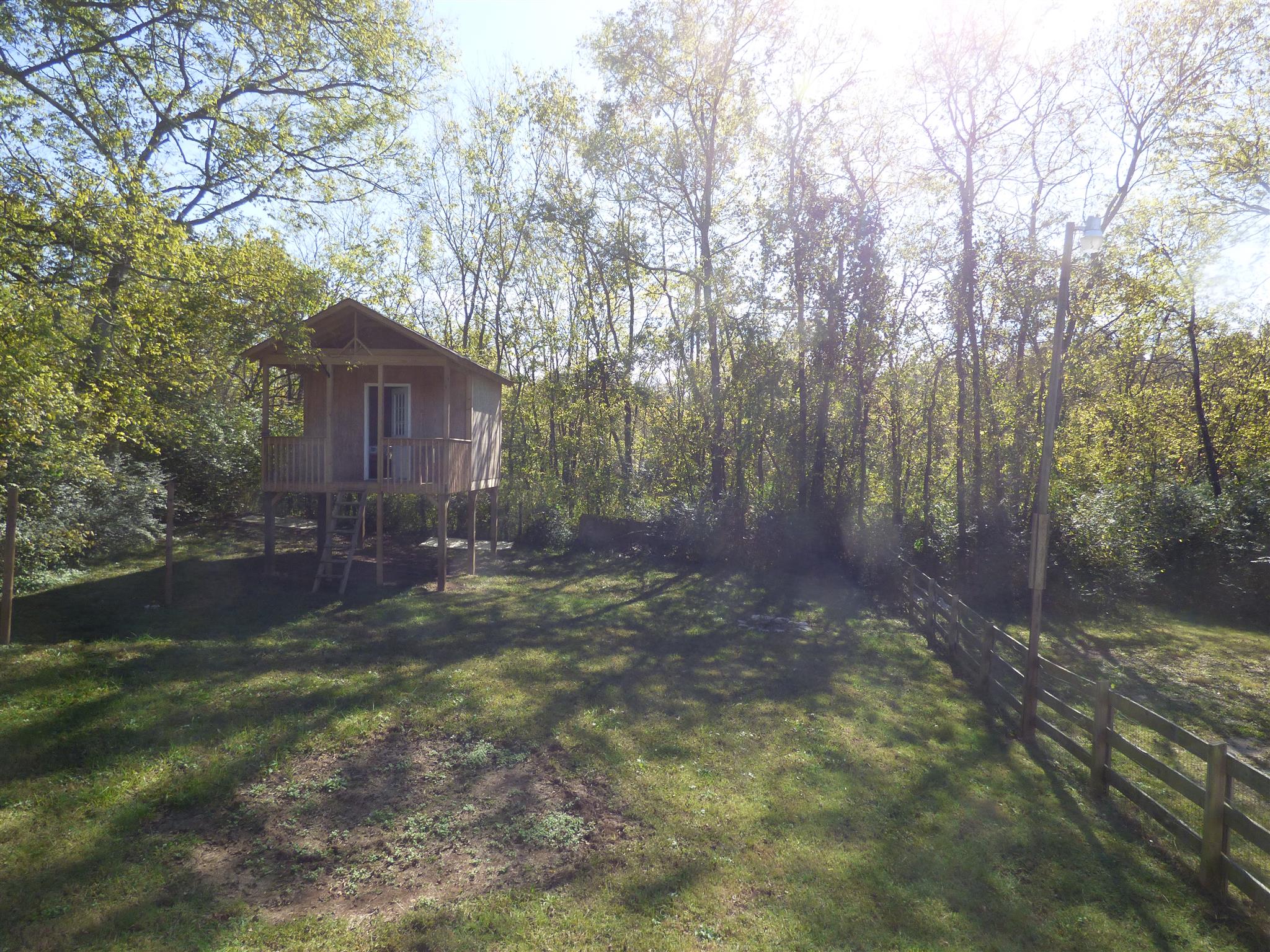 1259 1st Avenue Mount Pleasant, TN 38474 - Photo 15 of 18 a view of a backyard with large trees