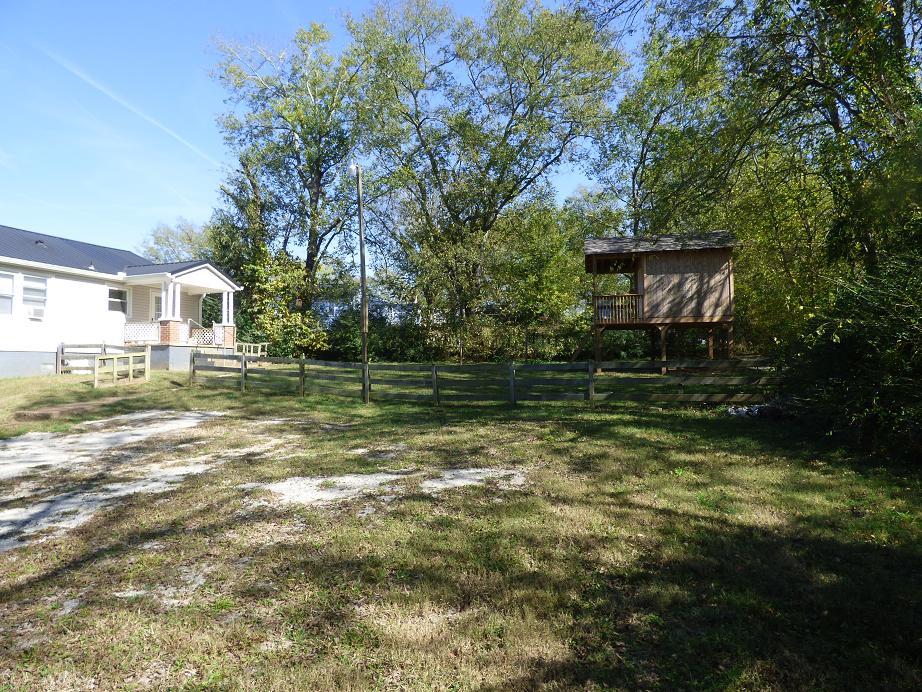 1259 1st Avenue Mount Pleasant, TN 38474 - Photo 17 of 18 a backyard of a house with lots of green space