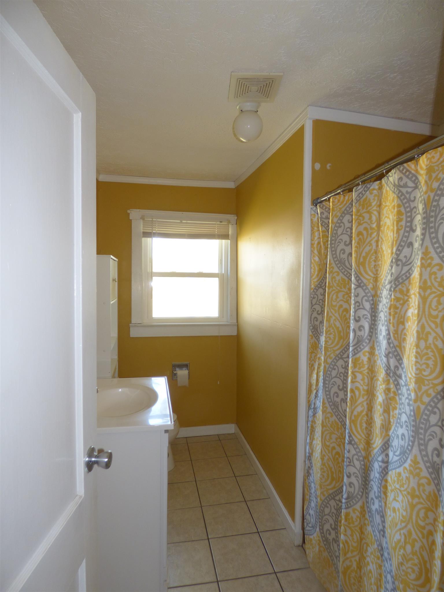 1259 1st Avenue Mount Pleasant, TN 38474 - Photo 10 of 18 a bathroom with a shower and a tub