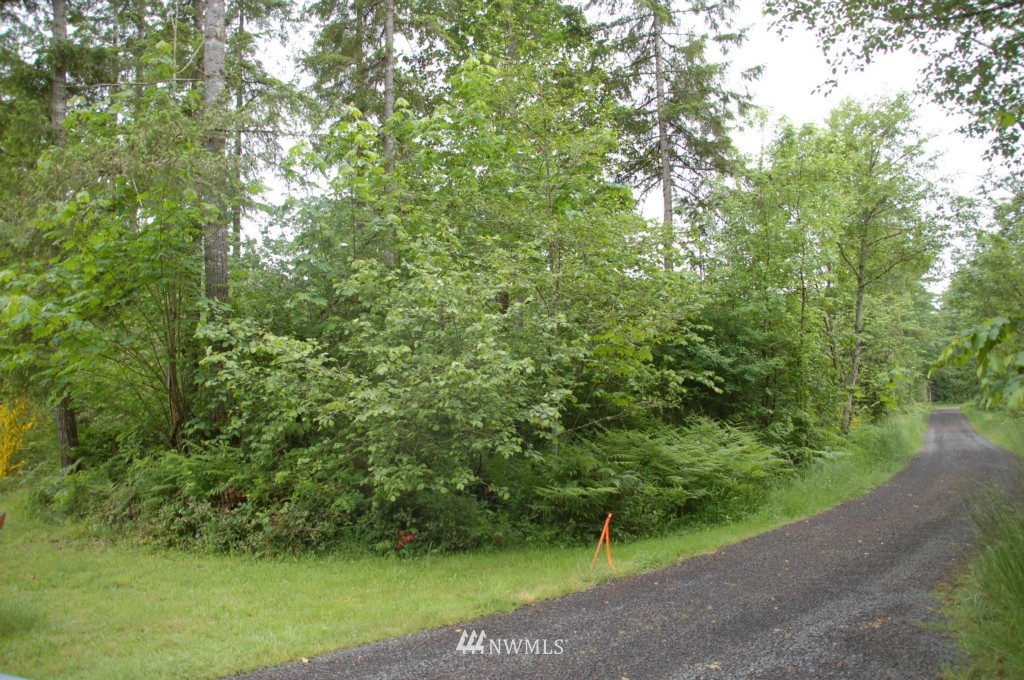0 Spencer Road Salkum, WA 98582 - Photo 1 of 4 Gallery Image 1