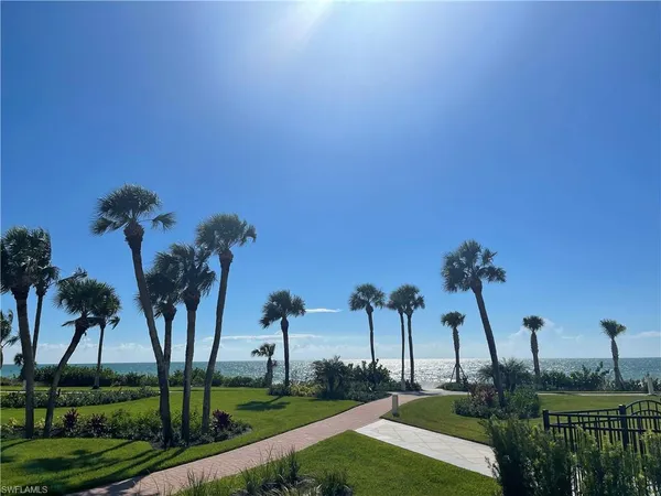 a view of a yard with a palm tree