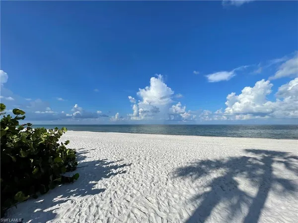 a view of a lake in the backyard