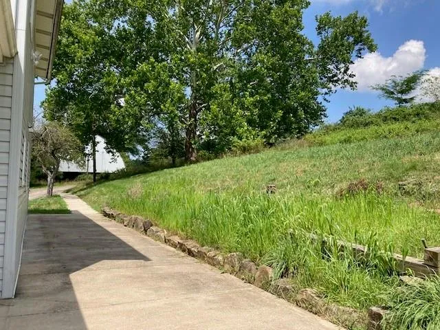 a view of a street with a park