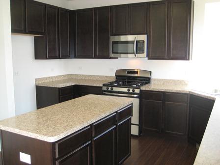 1915 Beachview Road Pingree Grove, IL 60140 - Photo 3 of 13