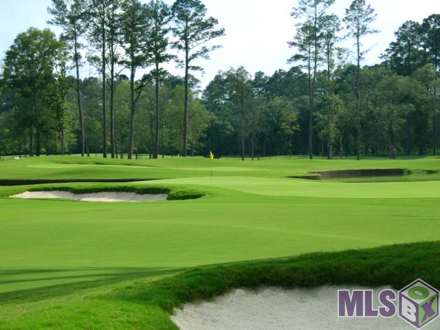 Lot 107 Monarch Point Springfield, LA 70462 - Photo 5 of 6