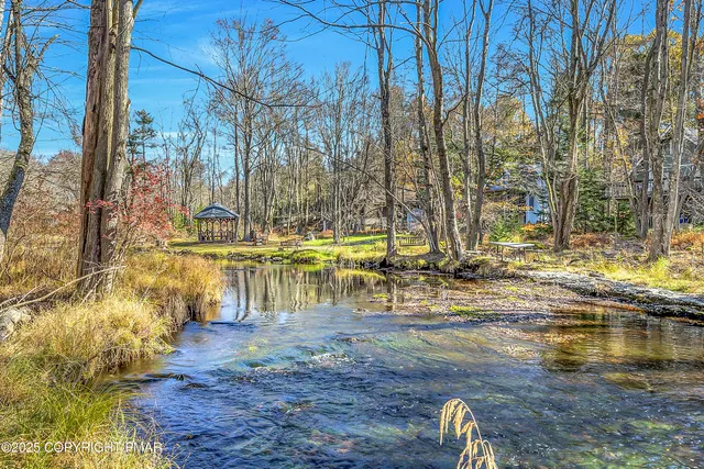 a view of back yard of the house