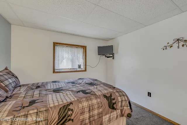 a view of a park with large trees